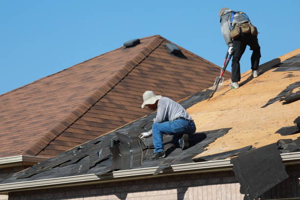 Best Emergency Roof Repair Services  in Sturgeon, MO