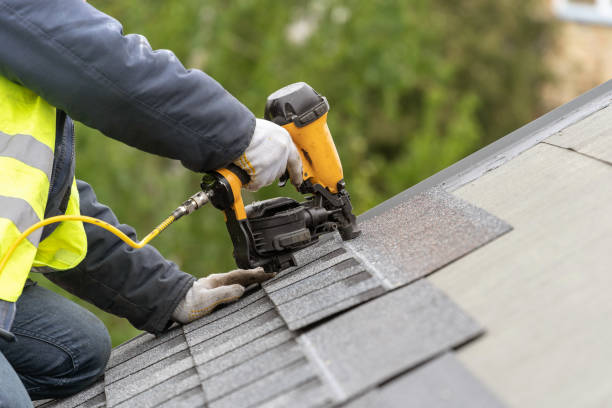 Best Roof Ventilation Installation  in Sturgeon, MO