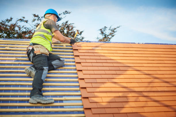 Best Gutter Installation and Repair  in Sturgeon, MO